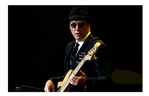 Matt Bissonette Bass Player